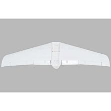 E-flite Painted Wing V1200