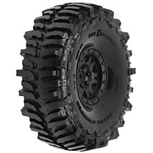 PRO1013310