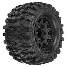 PRO1019010