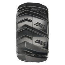 PRO1019310