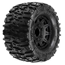PRO117010