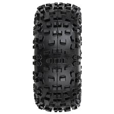 PRO117310