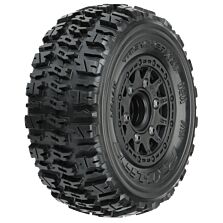 PRO119010