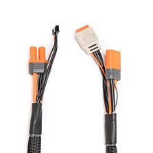 Spektrum Accessories Charge Lead with Balance Extension 24" IC5, 2-6S