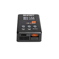 Spektrum Accessories S100 1x100W USB-C Smart Charger