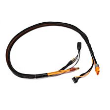 Spektrum Accessories Pro Series Race 4s Charge Cable: IC3/5mm