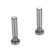 Team Losi Racing Hinge Pins, 4 x 21mm TiCN (2): 8IGHT 4.0